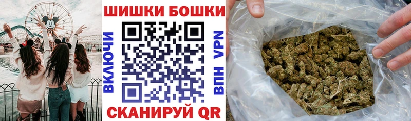 Бошки Шишки планчик  Инсар 
